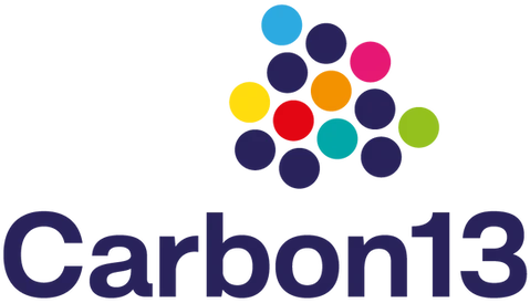 Partner 6 logo