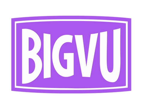 Bigvu logo